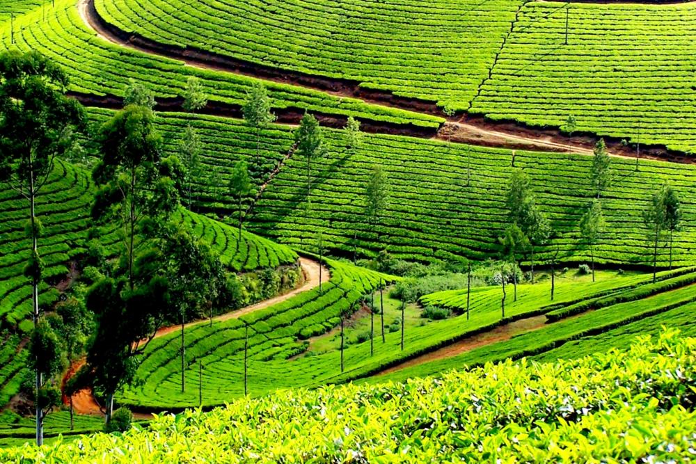 Idukki