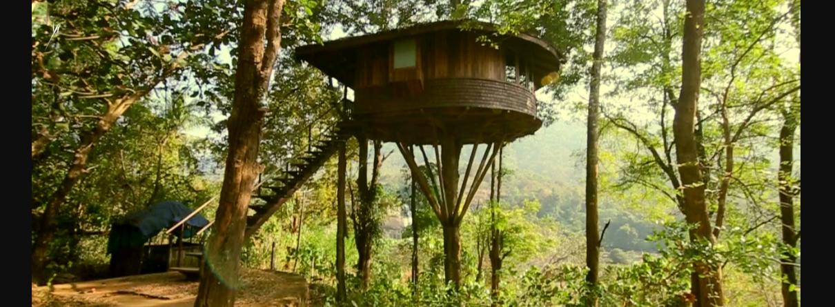 Rainforest Resort