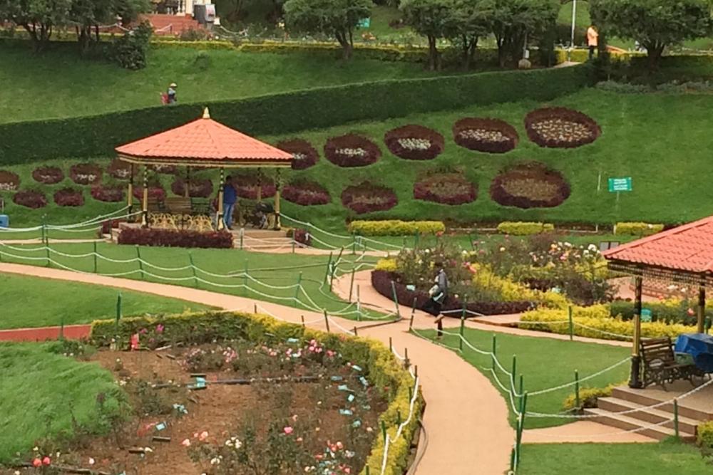 Ooty Rose Garden