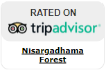 Nisargadhaman Forest