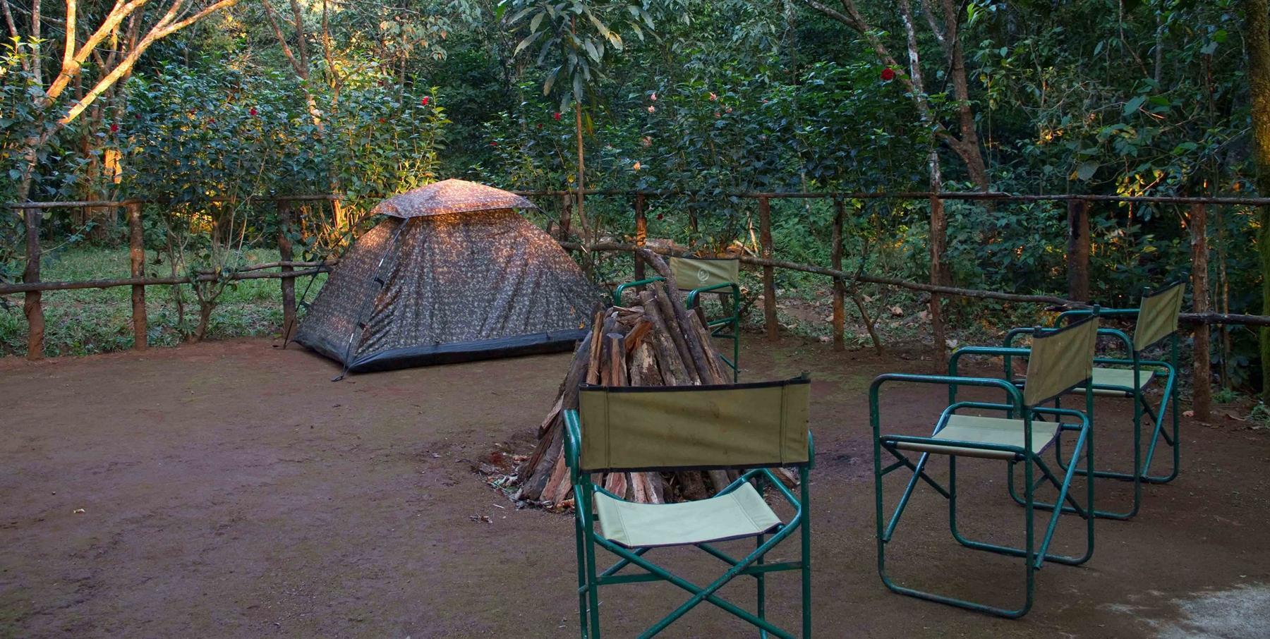Trekking/Jungle Camping in Kerala