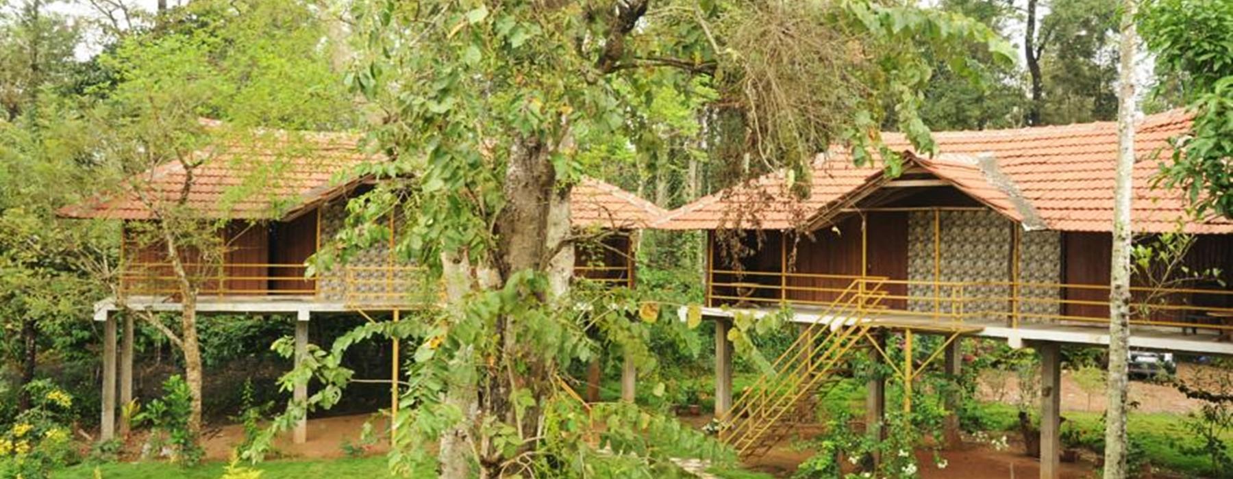 Jungle Lodges in Kerala