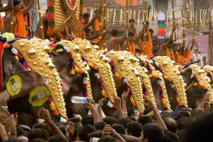 elephatnst at pooram