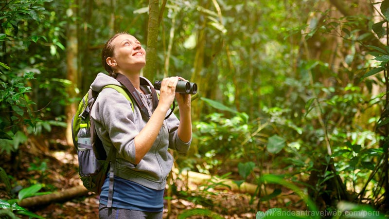 bird watching girl with binocular