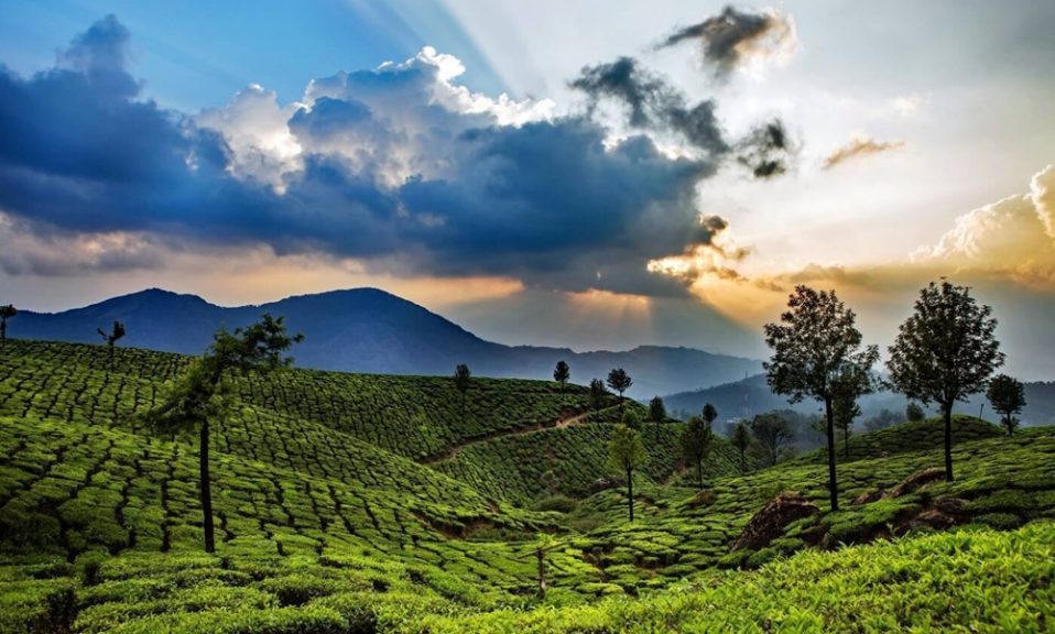 idukki Archives - The Kerala Travel Blog - Experience Kerala