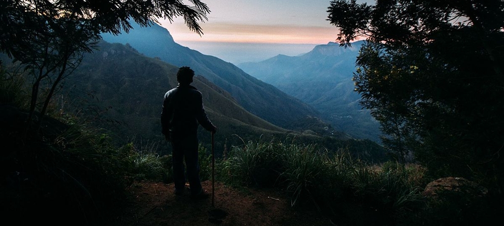 Man enjoying a spectacular view from the Top Station in Munnar