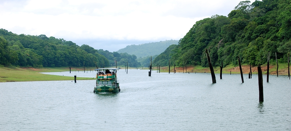 A boat cruise across the scenic Periyar Lake