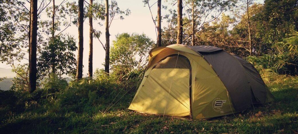 A sturdy tent amidst beautiful trees