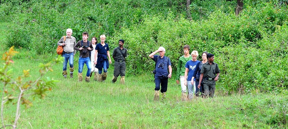 A large group of tourists in the middle of their nature walk