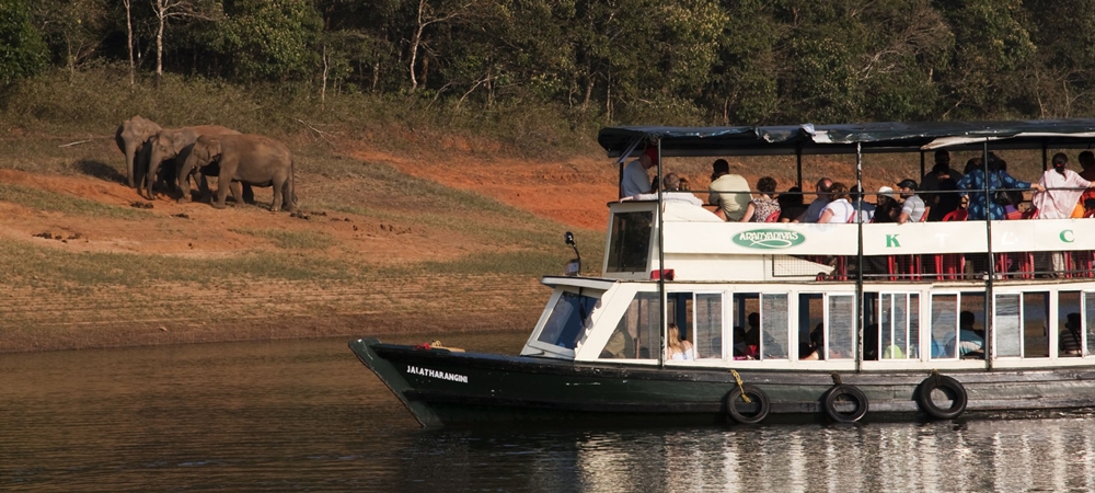 Tourists enjoys a view of elephants from the boat