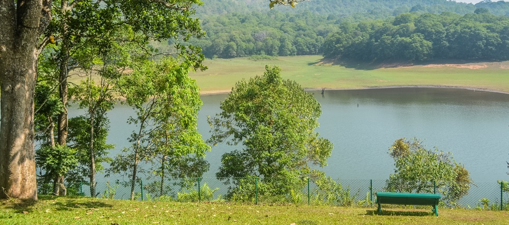 Thekkady lake and greenery