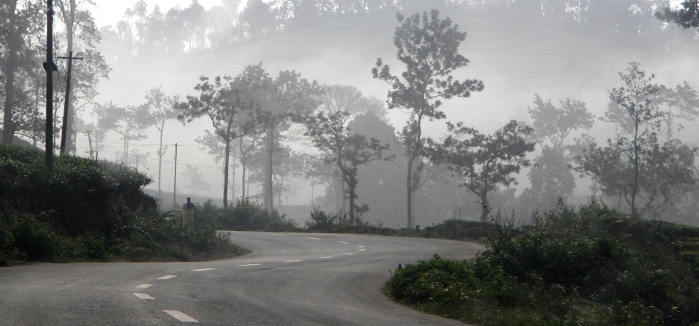 The misty weather during winter in Kerala