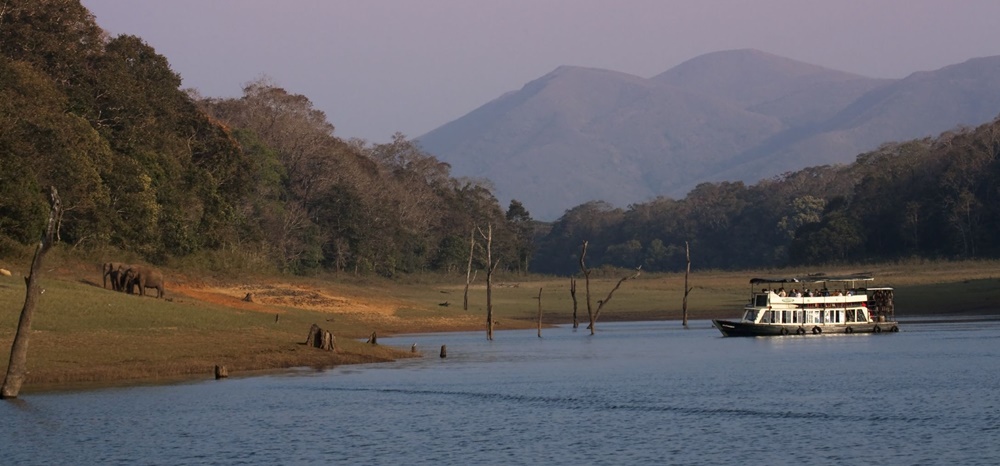 Periyar Lake in Monsoon