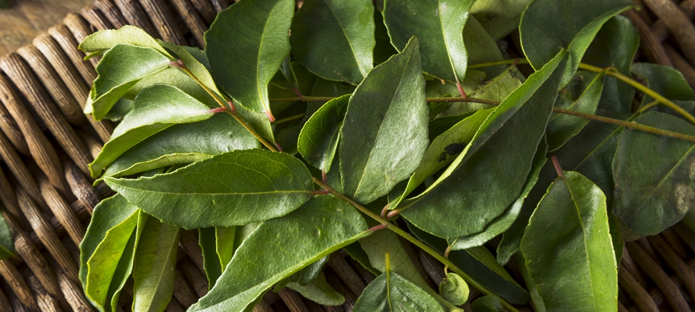 Curry leaves