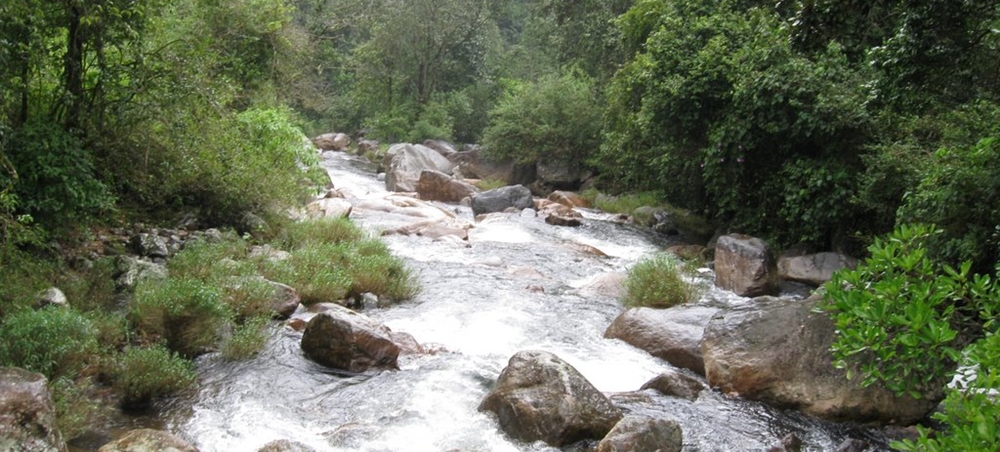 Waters gushing through small rocks