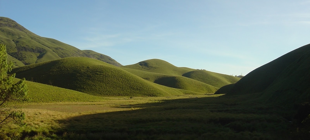 Small hills completely covered with grass