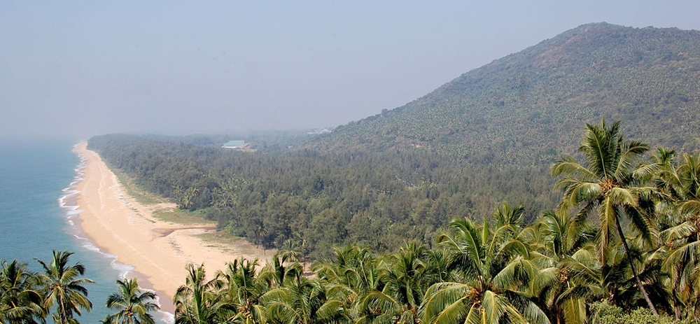 The hill next to the beach and trees