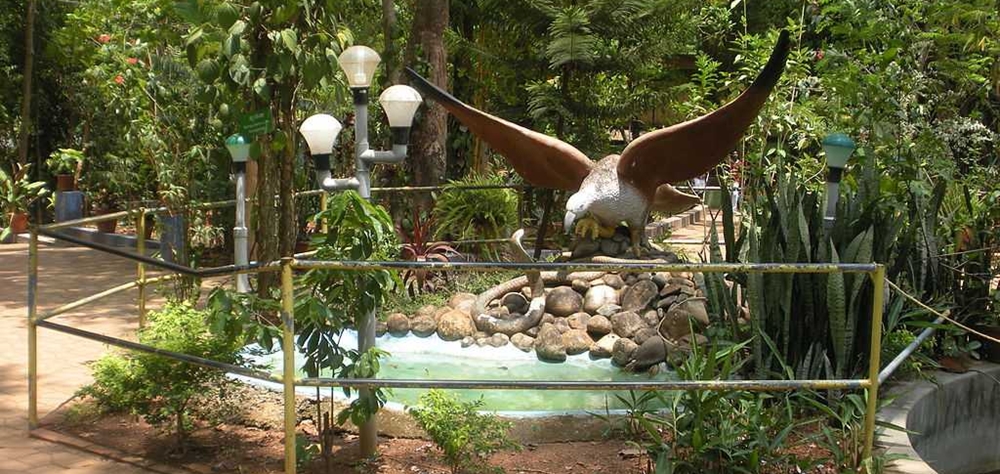 The beautiful eagle sculpture at Snake Park