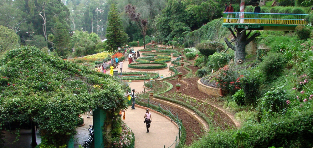 Panoramic view of Ooty Botanical Garden