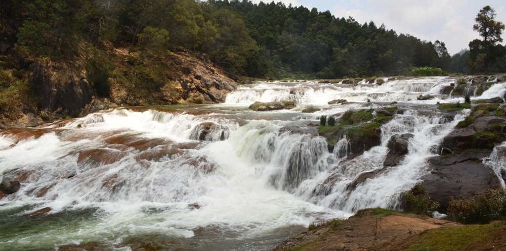 Waterfalls near thick greenery