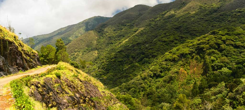 An unexplored spot in Ooty with mountains and greenery