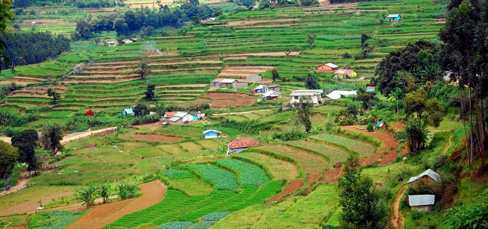 The greenery and homes at Vattavada