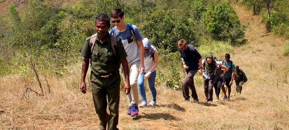 A group of foreigners enjoying a border hike in Periyar