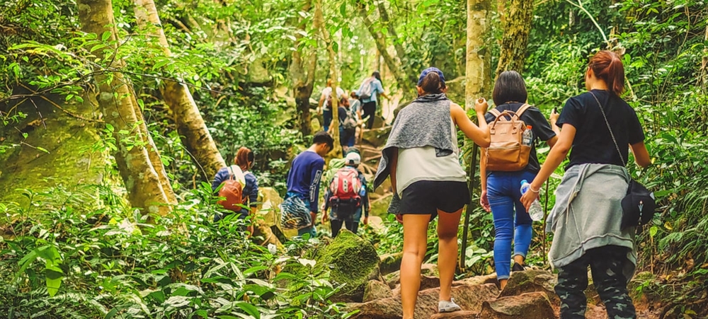 A group travelers in a forest enjoying a walk