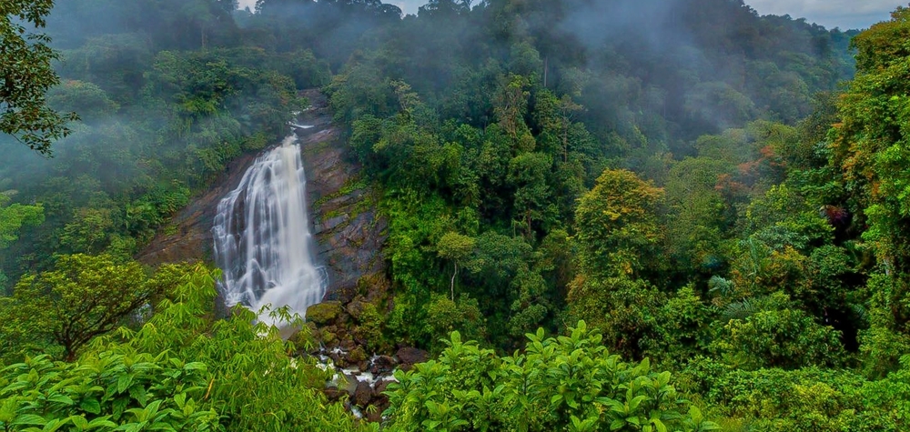 The waterfalls surrounded by lush greenery