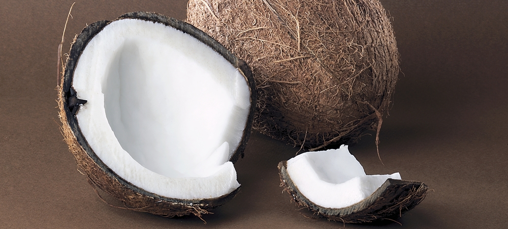 Coconut