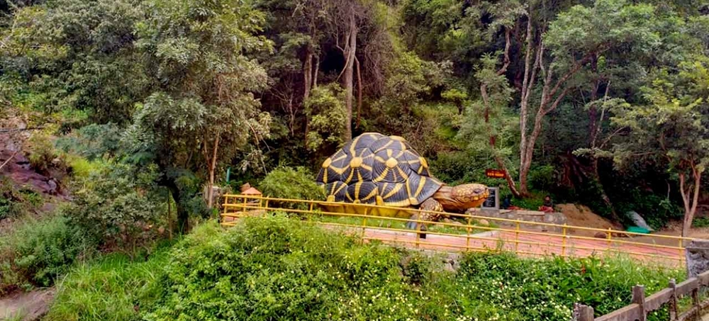 A giant tortoise sculpture at the entrance of the sanctuary