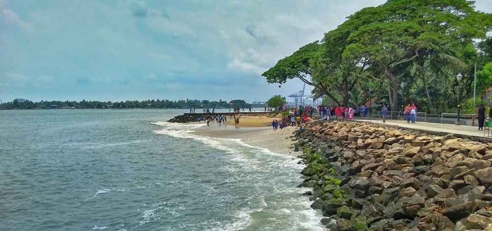 The rocks and trees on the Fort Kochi Beach