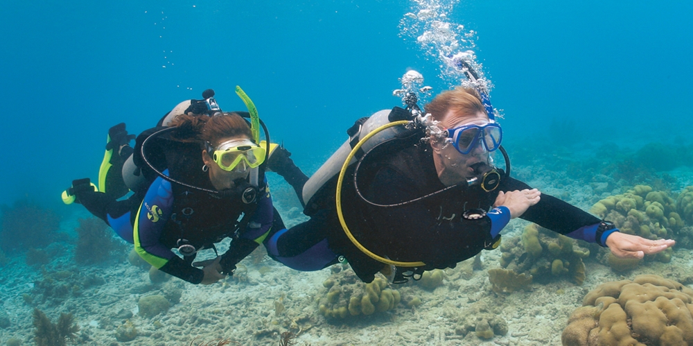A couple enjoy a scuba dive