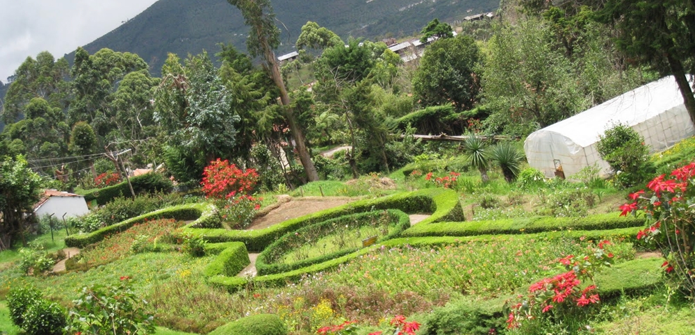 The beautifully maintained gardens at Chettiyar Park