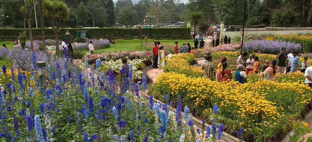 Tourists seeing the flowers at Bryant Park