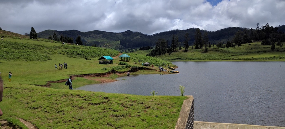 A lake surrounded by lush greenery