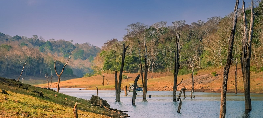 The forest and lake at Periyar Sanctuary