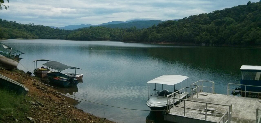 Boats anchored at the shore of a lake