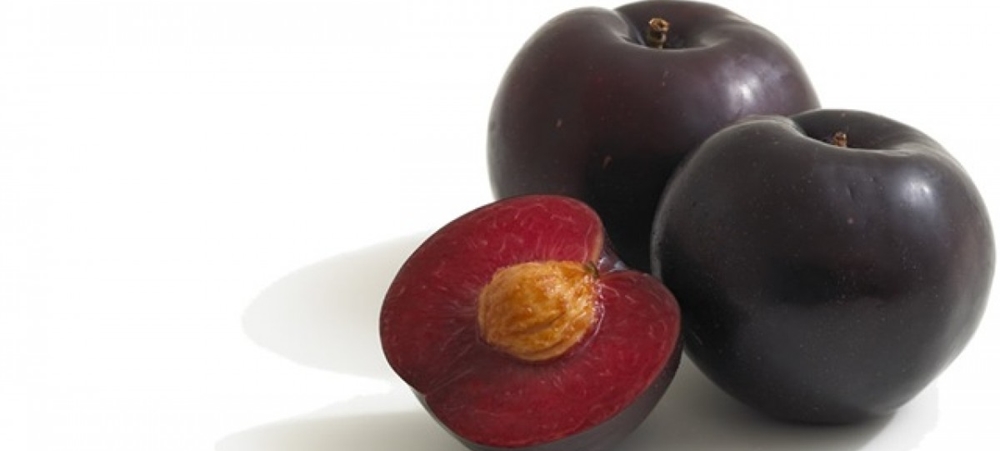 Black Plum