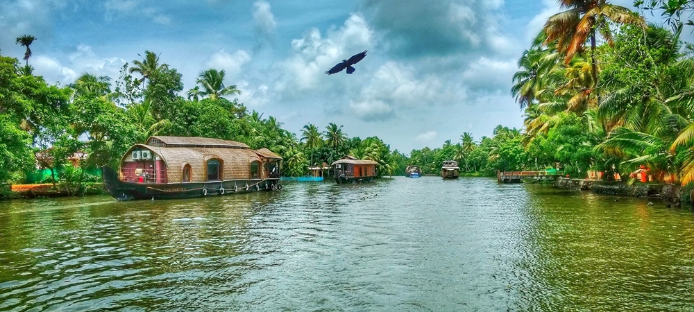 A houseboat cruising along a palm-fringed shoreline