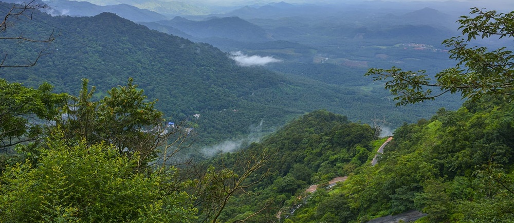 Wayanad in Monsoon