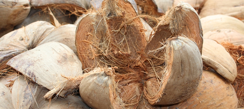 Coconut husk