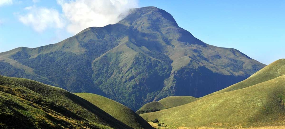 The majestic Annamudi Peak