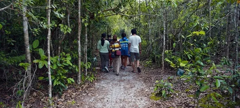 A group of travellers trekking in the Gavi forest