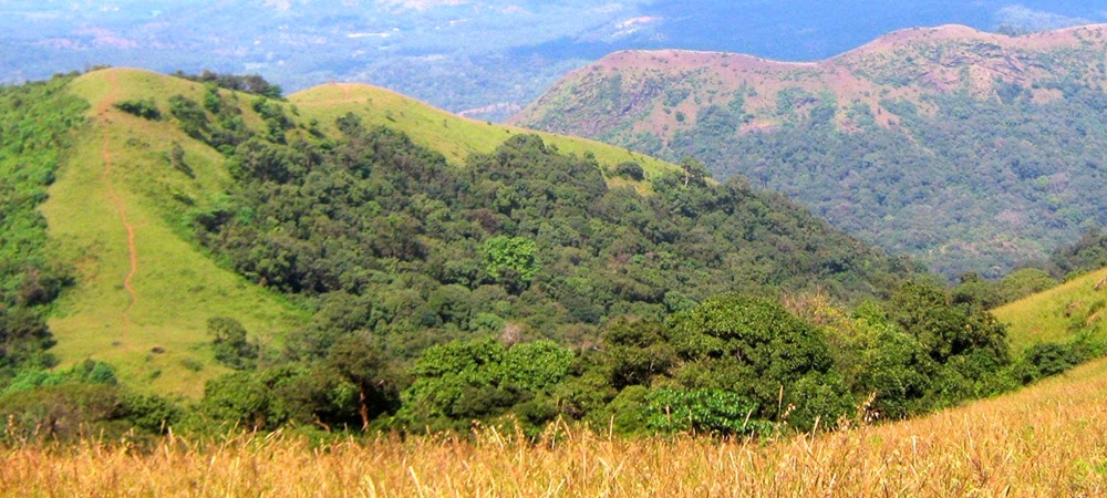 Sabrimala View Point