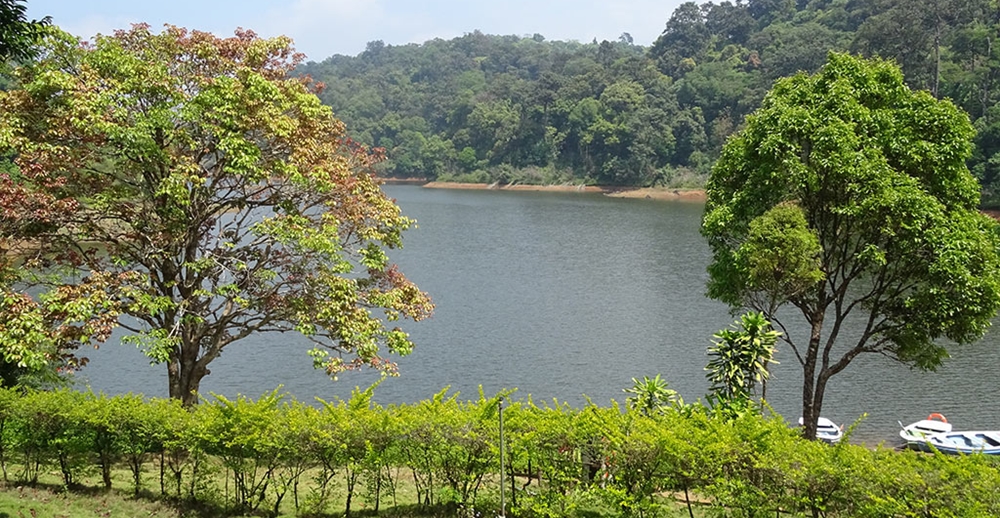 Gavi lake and trees