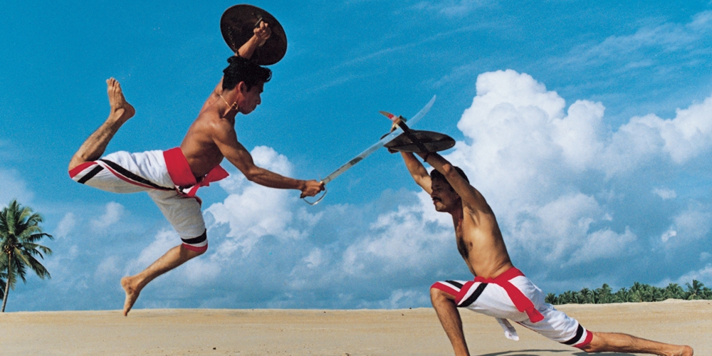 kalaripayattu