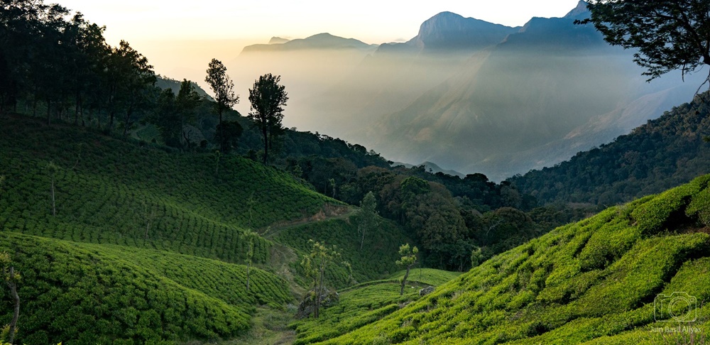 Munnar in winter