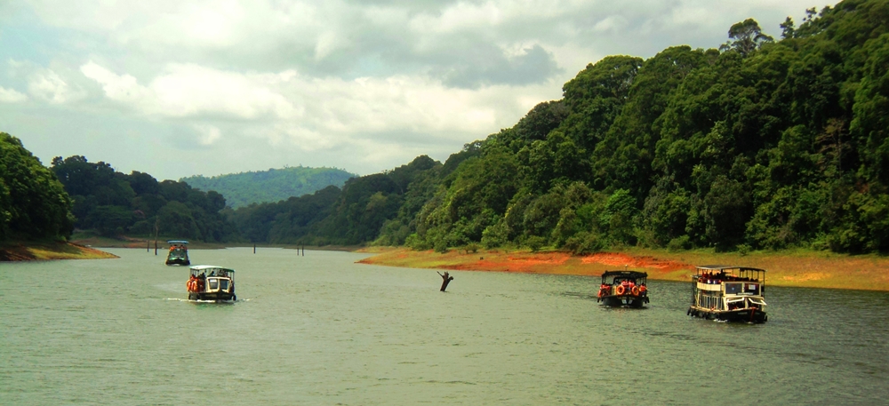 Boating in the Periyar Lake surrounded by forests