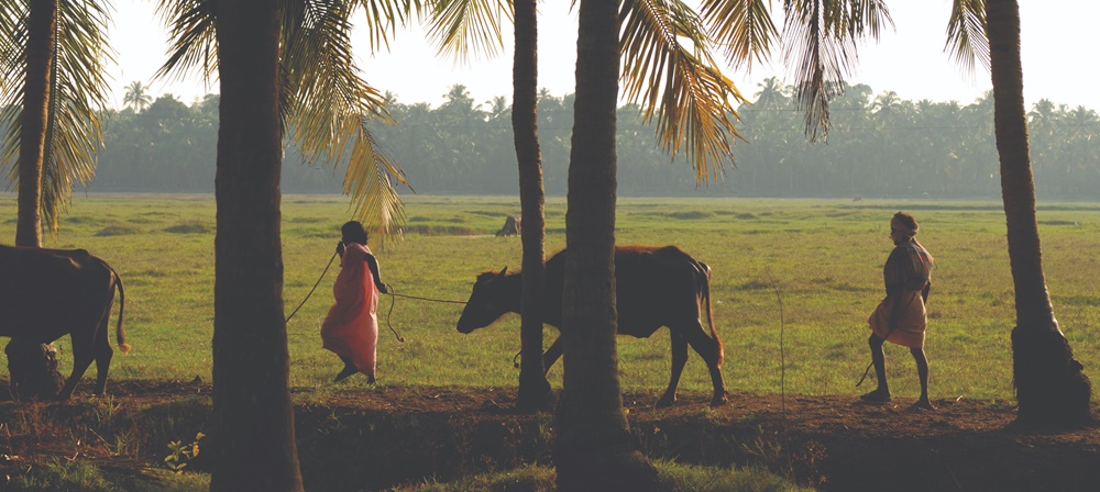 Village in Kerala